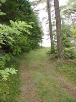Kes�m�kki Capricornus - Hiiu T�ht &raquo; K�rgessaare &raquo; Hiidenmaa, Viro