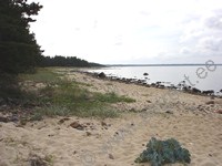 Kes�m�kki Capricornus - Hiiu T�ht &raquo; K�rgessaare &raquo; Hiidenmaa, Viro