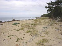 Kes�m�kki Capricornus - Hiiu T�ht &raquo; K�rgessaare &raquo; Hiidenmaa, Viro