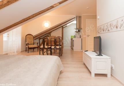 Kahetoaline apartment 8- Roosi